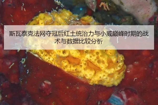 si-wa-tai-ke-fa-wang-duo-guan-hou-hong-tu-tong-zhi-li-yu-xiao-wei-dian-feng-shi-qi-de-zhan-shu-yu-shu-ju-bi-jiao-fen-xi-2-319.jpg