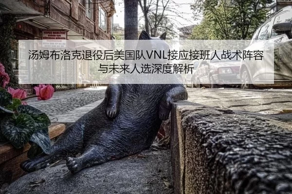 汤姆布洛克退役后美国队VNL接应接班人战术阵容与未来人选深度解析