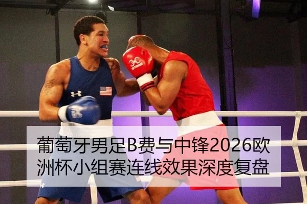 葡萄牙男足B费与中锋2026欧洲杯小组赛连线效果深度复盘