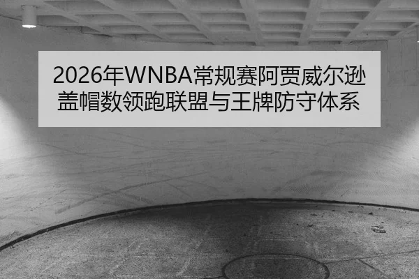 2026年WNBA常规赛阿贾威尔逊盖帽数领跑联盟与王牌防守体系