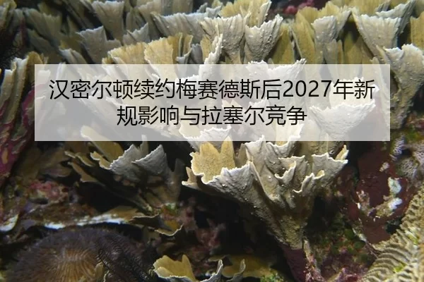汉密尔顿续约梅赛德斯后2027年新规影响与拉塞尔竞争